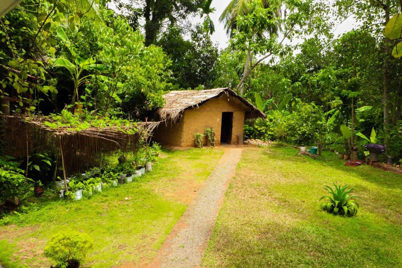 אונה ואטונה Pahalagawattha Homestay מראה חיצוני תמונה